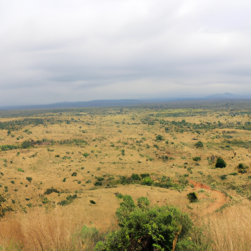 Der Hlane Royal National Park: Ein Juwel in Eswatini